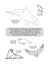 Load image into Gallery viewer, Animaux arctiques - Colorier et apprendre
