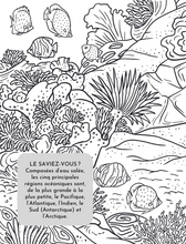 Load image into Gallery viewer, Animaux marins - Colorier et apprendre
