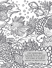 Load image into Gallery viewer, Animaux marins - Colorier et apprendre

