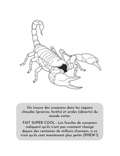 Load image into Gallery viewer, Animaux du désert - Colorier et apprendre
