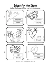 Load image into Gallery viewer, In Bloom
