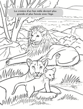 Load image into Gallery viewer, Jungle et autres animaux - Colorier et apprendre
