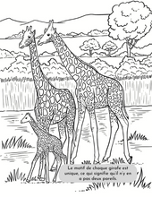 Load image into Gallery viewer, Jungle et autres animaux - Colorier et apprendre
