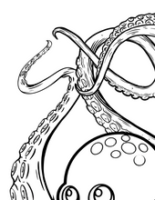 Load image into Gallery viewer, Monsters &amp; Unicorns
